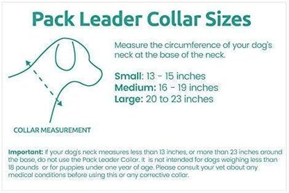 Cesar Millan Pack Leader Collar™ - Training Collar of The Dog Whisperer (Large, Grey)