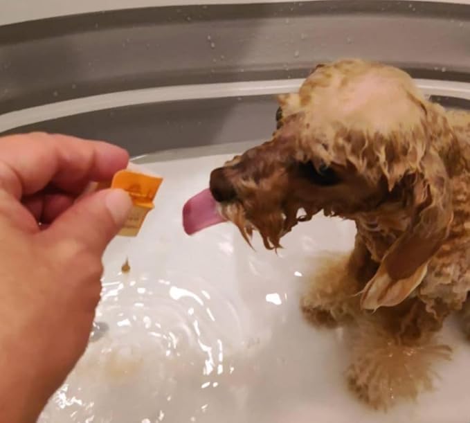 [hadafine] Natural Beauty Shampoo Hadafine for Dogs That Does not wash Away, The Power of Natural Fermentation for Healthy Skin Care Pet Shampoo for Dogs no tears, Itchy Skin