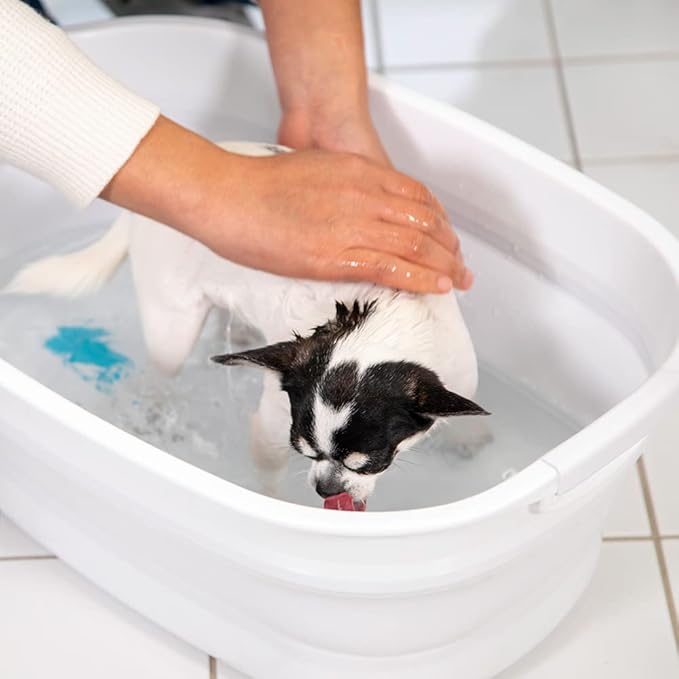 [hadafine] Natural Beauty Shampoo Hadafine for Dogs That Does not wash Away, The Power of Natural Fermentation for Healthy Skin Care Pet Shampoo for Dogs no tears, Itchy Skin
