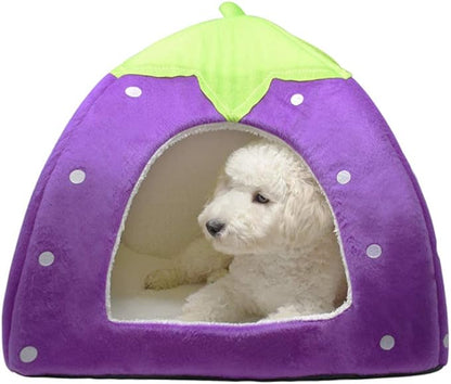 Spring Fever Hamster Guinea Pig Rabbit Dog Cat Chinchilla Hedgehog Bird Small Animal Pet Bed House Hideout Cage Accessorie D Purple M (14.2 * 14.2 inch)