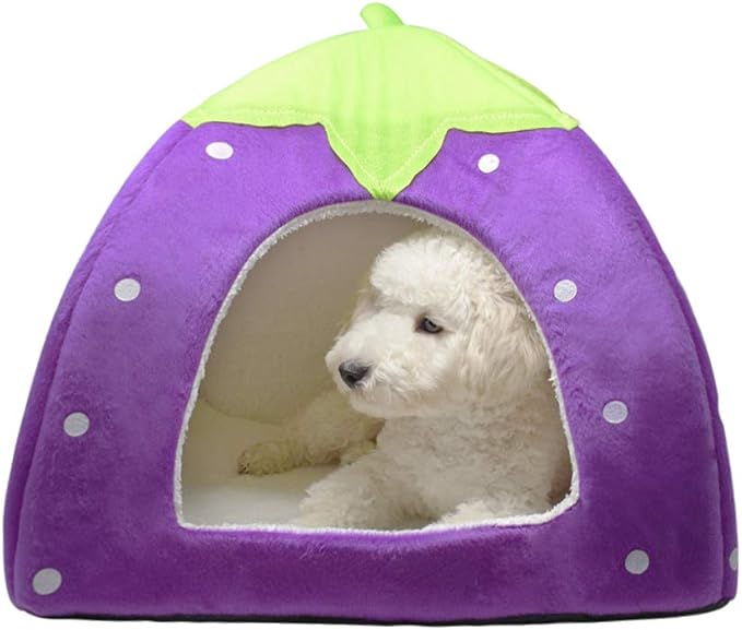 Spring Fever Hamster Guinea Pig Rabbit Dog Cat Chinchilla Hedgehog Bird Small Animal Pet Bed House Hideout Cage Accessorie D Purple S (12.2 * 12.2 inch)