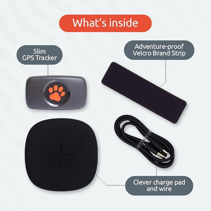 Dog GPS Tracker - No Subscription Fees - Suitable for All Dogs and Fits All Collars - Smart Activity Tracker, Satellite Tracking with Unlimited Range - 100% Waterproof Pet Tracker (Green)