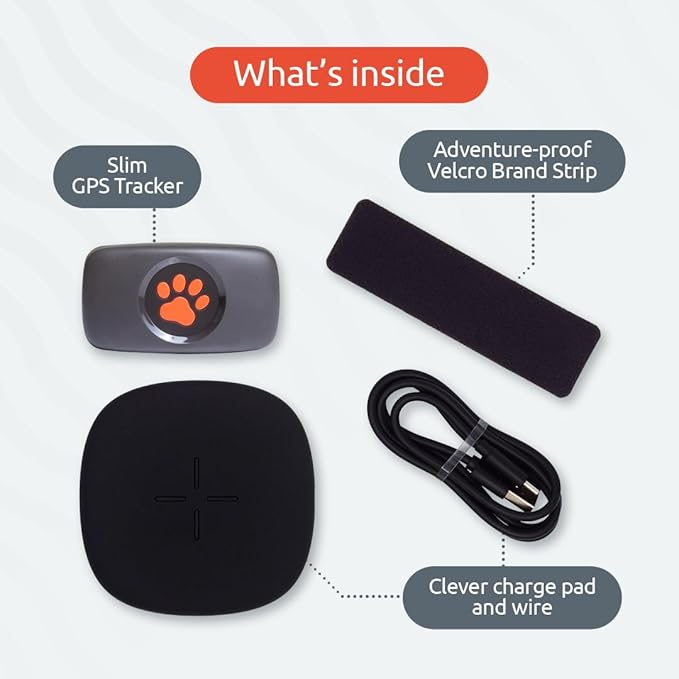 Dog GPS Tracker - No Subscription Fees - Suitable for All Dogs and Fits All Collars - Smart Activity Tracker, Satellite Tracking with Unlimited Range - 100% Waterproof Pet Tracker (Red)