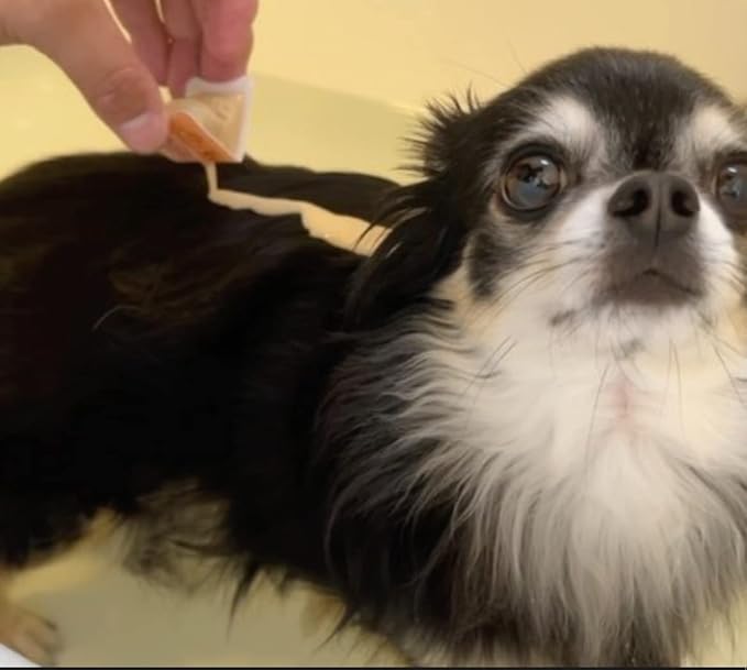 [hadafine] Natural Beauty Shampoo Hadafine for Dogs That Does not wash Away, The Power of Natural Fermentation for Healthy Skin Care Pet Shampoo for Dogs no tears, Itchy Skin