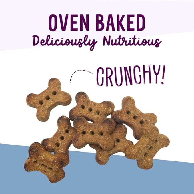 Health Extension Oven-Baked Dog Treats, 6oz (170g), Lamb & Blueberry Recipe – Gluten & Grain-Free, Superfood-Infused, Crunchy Biscuits for Puppy Training