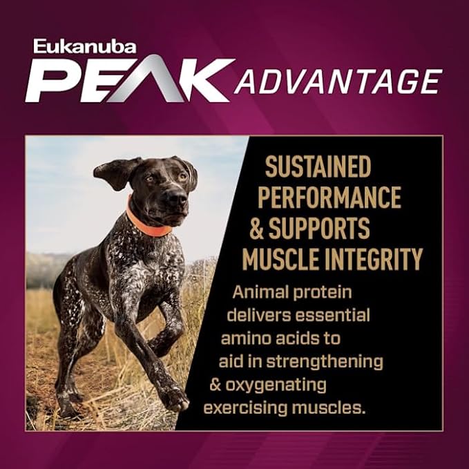 Eukanuba Premium Performance 30/20 Sport Dry Dog Food, 4.5 lb