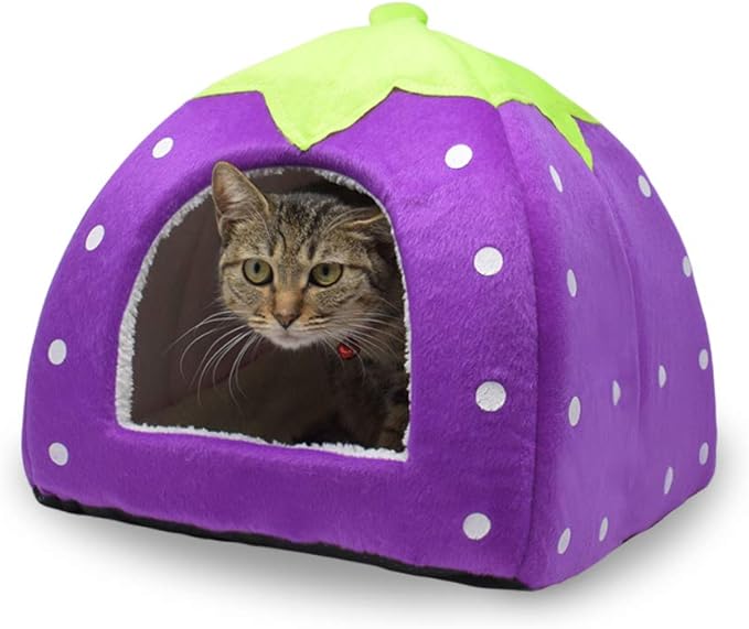 Spring Fever Hamster Guinea Pig Rabbit Dog Cat Chinchilla Hedgehog Bird Small Animal Pet Bed House Hideout Cage Accessorie D Purple L (16.9 * 16.9 inch)