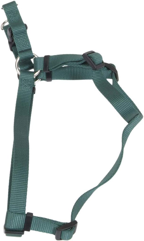 Coastal - Comfort Wrap - Adjustable Dog Harness, Hunter, 1" x 26"-38"