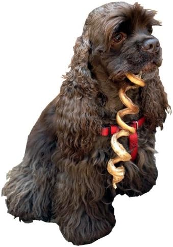 HDP Dental Floss Jumbo Curly Bully Sticks Light 7"-9" Made in USA Size:Pack of 10