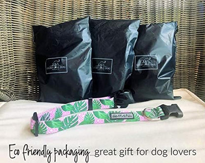 Lucky Love Dog, Tropical Dog Collar for Female Male Dogs, Comfortable & Soft, Vivid Pink Dog Collar - (Large, Laguna Collar)