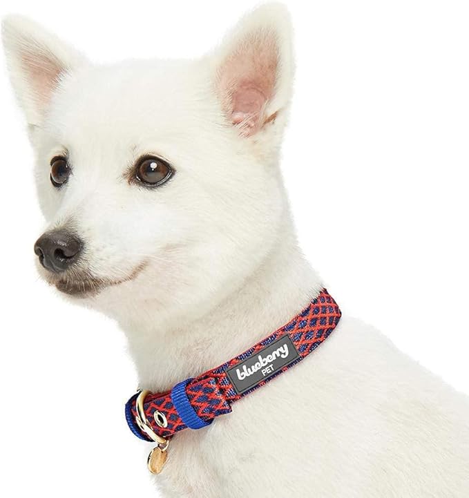 Blueberry Pet 2 Patterns Diamond Pattern Adjustable Neoprene Padded Dog Collar with Metal Buckle - True Red, Neck 13-16.5", for Medium Breed