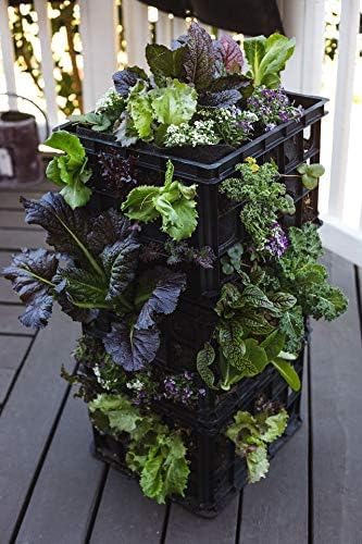 L121212 Smart Pot Milk Crate Liner, 12" x 12" x 12", Black