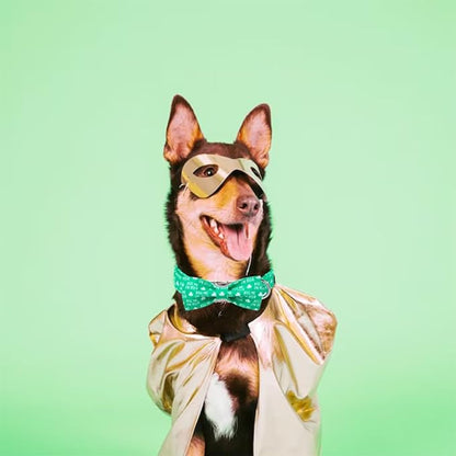 Unique Style Paws St. Patrick's Day Dog Collar with Bow Green Clover Dog Collar Bowtie Bowtie Collar for Large Medium Small Dogs