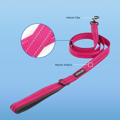 Voyager Reflective Dog Leash with Neoprene Handle, 5ft Long, Supports Small, Medium, and Large Breed Puppies, Cute and Heavy Duty for Walking, Running, and Training - Fuchsia (Leash), L