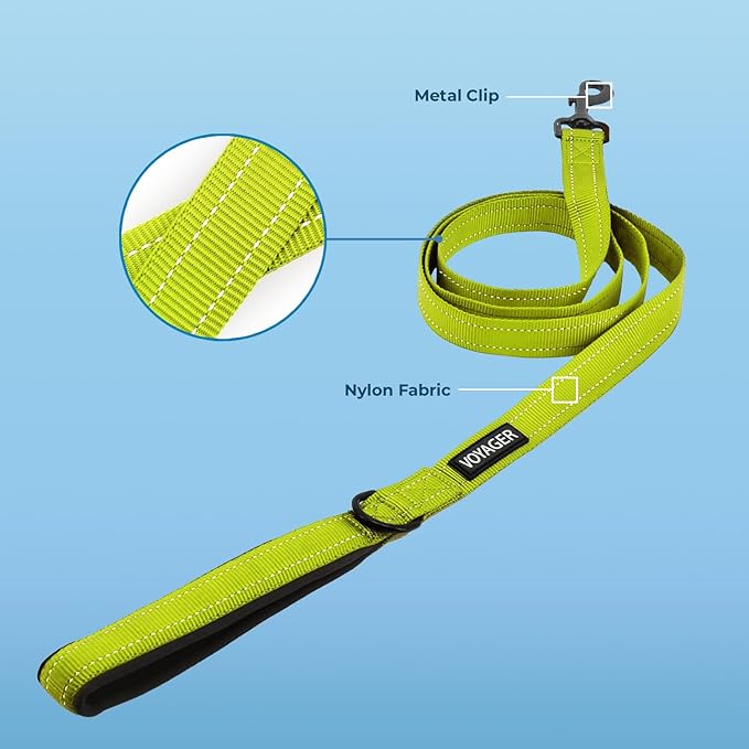Voyager Reflective Dog Leash with Neoprene Handle, 5ft Long, Supports Small, Medium, and Large Breed Puppies, Cute and Heavy Duty for Walking, Running, and Training - Lime Green (Leash), M