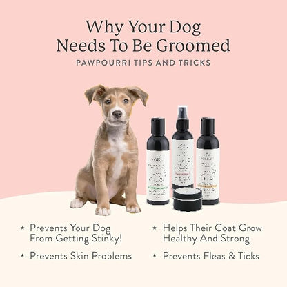 Pet Grooming Kit (Shampoo, Conditioner, Paw Butter, Cologne)