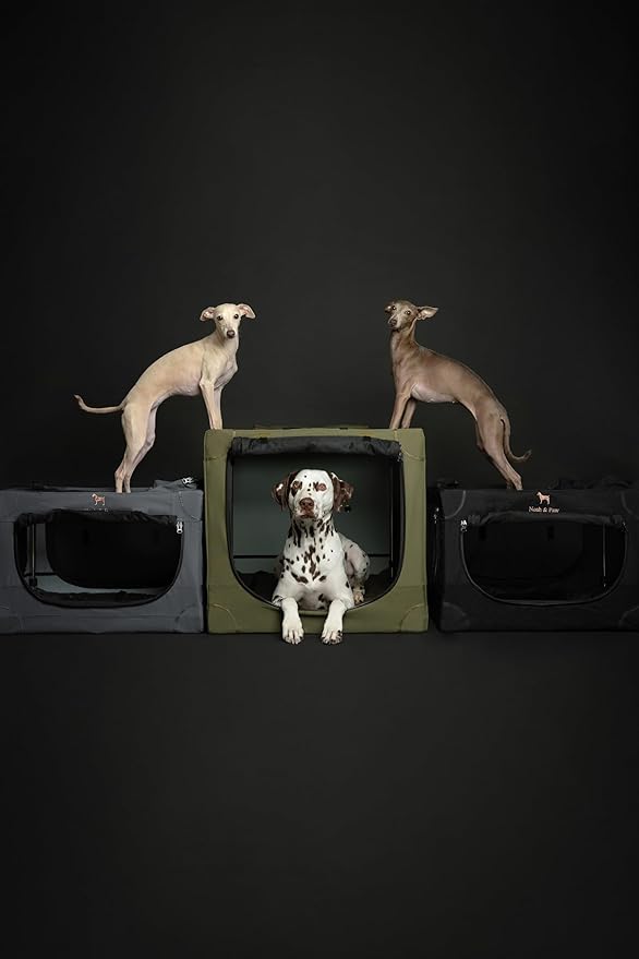 Noah & Paw Collapsible Dog Crate 30 Inches, Large Dog Crate for Large Medium Breeds, Travel Kennel for Car, Including Pet Mat for Pet Cage, 2 Storage Pockets, Handbag, 10mm Locking Zipper 30*21*21