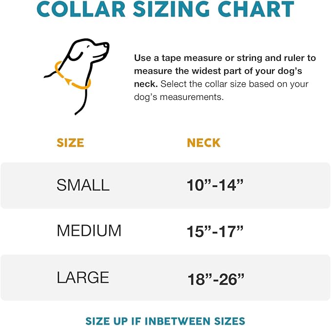 Embark Urban Dog Collar – Dog Collar Stylish & Durable Nylon Dog Collar for Large Dogs, Small Dogs & Medium Dogs.Comfortable Pet Collar Strong Buckles for Any Size Breed (Lunar, Large)