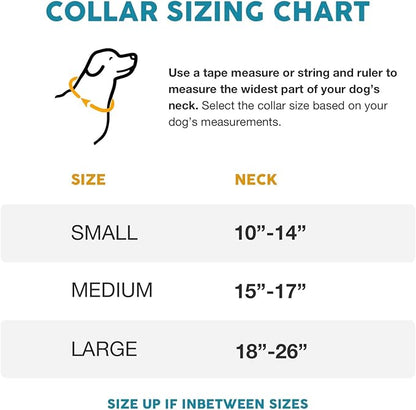 Embark Urban Dog Collar – Dog Collar Stylish & Durable Nylon Dog Collar for Large Dogs, Small Dogs & Medium Dogs.Comfortable Pet Collar Strong Buckles for Any Size Breed (Lunar, Large)