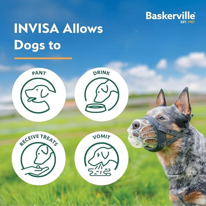 Baskerville INVISA Basket Dog Muzzle - Patented Humane Design with Facial Visibility, Padded Nose Band, Dog can Pant and Drink, Prevents Biting and Scavenging. Muzzle for Large Dogs (Size 6)