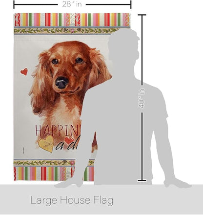Breeze Decor Long Hair Dachshund Happiness House Flag Pack Dog Puppy Spoiled Paw Canine Fur Pet Nature Farm Animal Creature Support Our Troops Banner Small Garden Yard Gift Double-Sided, Made in USA