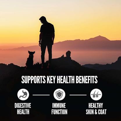 ORIJEN Amazing Grains Regional RED Dry Dog Food, High Protein Dog Food for All Life Stages, Fresh or Raw Ingredients, 4lb