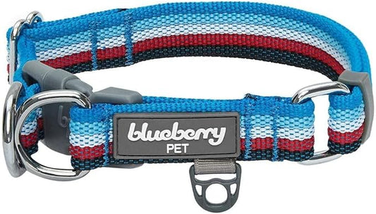 Blueberry Pet 3M Reflective Dog Collars | Adjustable Dog Collar w/Multi-Colored Stripe - Azure Blue and Raspberry Red | Nylon Pet Collars for Dogs & Refflective Dog Collar for Small Dogs