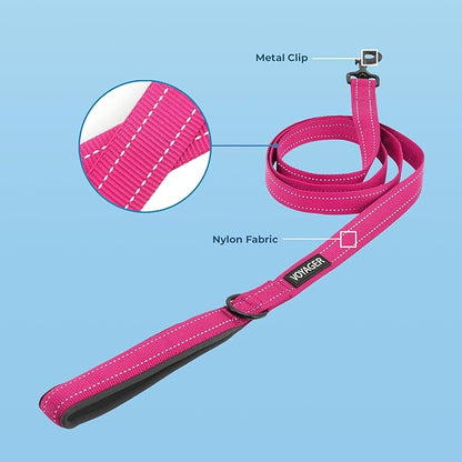 Voyager Reflective Dog Leash Collar Set with Neoprene Handle Supports Small, Medium, and Large Breed Puppies, Cute and Heavy Duty for Walking, Running, and Training - Fuchsia, L