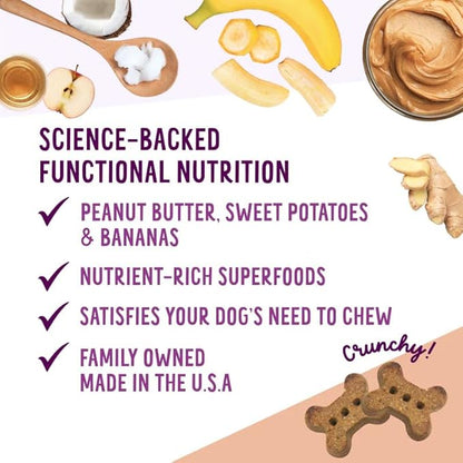 Health Extension Oven-Baked Dog Treats, 6oz (170g), Peanut Butter & Banana Recipe – Gluten & Grain-Free, Superfood-Infused, Crunchy Biscuits for Puppy Training