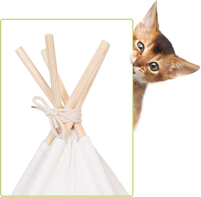 Pet Teepee with Cushion for Dogs and Cats Puppies House with Bed Pet Tent Bed Indoor Outdoor (Modern)