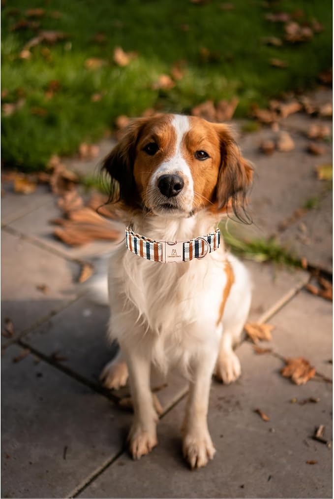 Lionheart glory Plaid Dog Collars Fall Dog Collar Heavy Duty Adjustable Dog Collar for Large Collar Dog Female or Male Dog Collar