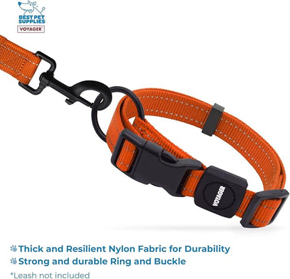 Best Pet Supplies Reflective Dog Collar with Adjustable Length, Heavy-Duty Buckle, and Strong Leash D-Ring, Training, Walking, Jogging Accessory for Small, Medium, and Large Breeds - Orange, M