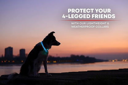 Illumiseen LED Dog Collar USB Rechargeable - Bright & High Visibility Lighted Glow Collar for Pet Night Walking - Weatherproof, in 6 Colors & 6 Sizes (Blue Large)