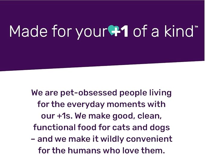 I AND LOVE AND YOU Free Ranger Braided Bully Stix - Beef - Rawhide Alternative, Single Ingredient, Free Range Grass Fed Beef, 6in, 3ct