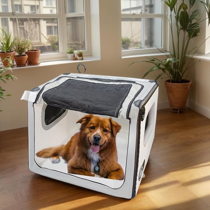 Collapsible Dog Crate - Portable Dog Travel Crate Kennel for Medium Dogs, Soft Sided Folding Dog Crates Indoor, Outdoor 31’’Lx35’’Wx25’’H