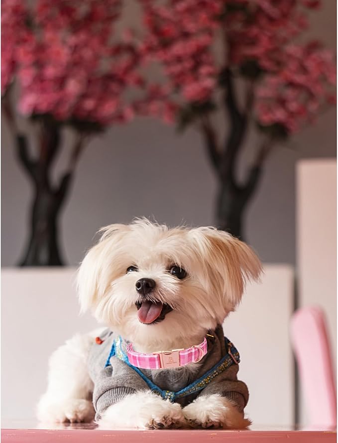 Lionheart glory Valentine's Day Collar, Pink Plaid Dog Collar for X-Small Cute Dog Collars Spring Female Pet Gift Adjustable Heavy-Duty Puppy Collar Holiday