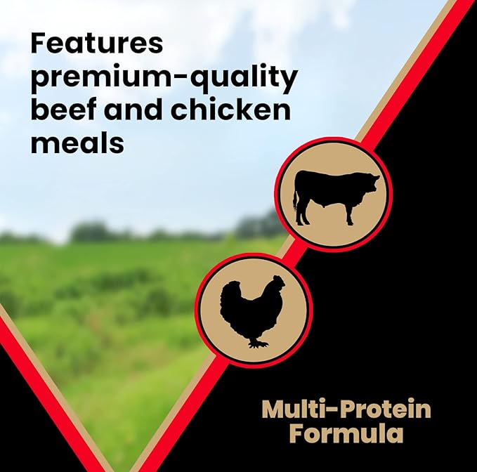 VICTOR Super Premium Dog Food – High Energy Dry Dog Food for Active Dogs – Gluten Free Dog Food with Beef and Chicken Meal Proteins for Sporting Dogs – All Breeds and All Life Stages, 5 lb