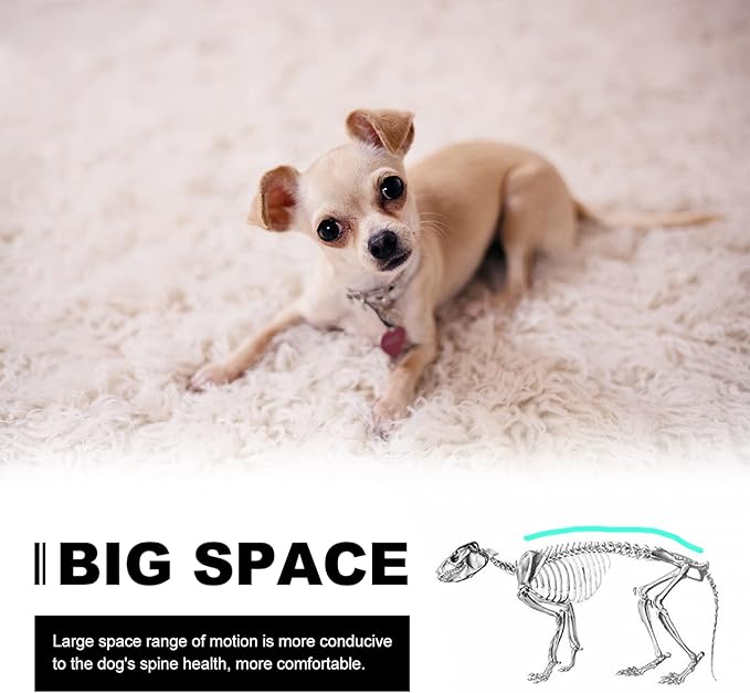 Folding Metal Dog Crate, Black, Portable, Easy to Install, Durable, Secure, Warm and Comfortable