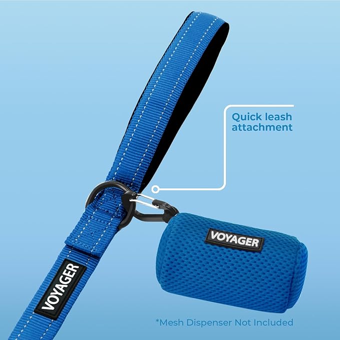 Voyager Reflective Dog Leash with Neoprene Handle, 6ft Long, Supports Small, Medium, and Large Breed Puppies, Cute and Heavy Duty for Walking, Running, and Training - Royal Blue, L