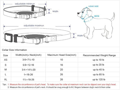 Blueberry Pet Essentials Martingale Safety Training Dog Collar, Black, Small, Heavy Duty Nylon Adjustable Collars for Dogs
