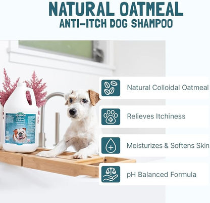 Bio-Groom Oatmeal Dog Shampoo – for Allergies and Itching, Cruelty-Free, Dog Bathing Supplies, Puppy Shampoo for Sensitive Skin, Made in USA, Anti-Itch Dog Products – 5 Gallons