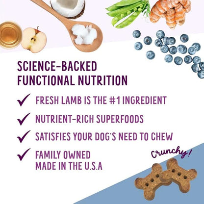 Health Extension Oven-Baked Dog Treats, 6oz (170g), Lamb & Blueberry Recipe – Gluten & Grain-Free, Superfood-Infused, Crunchy Biscuits for Puppy Training