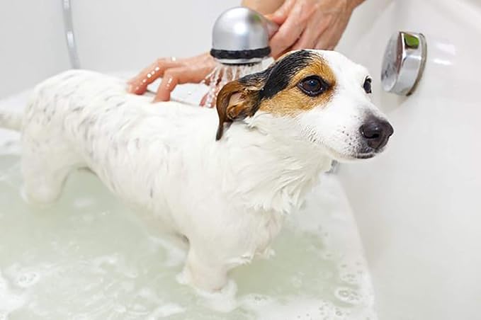 Pet Spa All-Natural Plant-Based Shampoo - Lavendar & Chamomile - Calming & Soothing