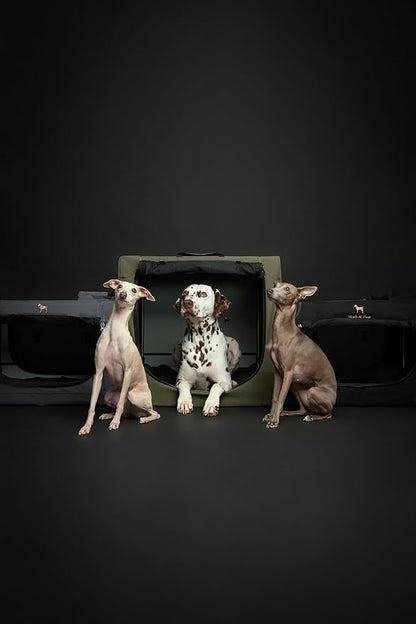 Noah & Paw Collapsible Dog Crate 26 Inch, Small Dog Crate for Small Medium Breeds, Travel Kennel for Car, Including Pet Mat for Pet Cage, 2 Storage Pockets, Handbag, 10mm Locking Zipper 26 * 17 * 17