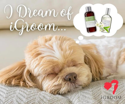 iGroom Dog Groomers Bundle - Argan & Vitamin E Dog Shampoo Concentrate, Enhanced Cleaning, 16 oz - Pro-Keratin Leave-in Conditioner, Excellent Detangling, 16 oz