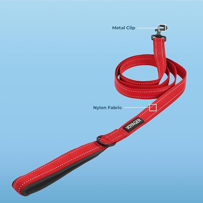 Voyager Reflective Dog Leash with Neoprene Handle, 5ft Long, Supports Small, Medium, and Large Breed Puppies, Cute and Heavy Duty for Walking, Running, and Training - Red (Leash), S
