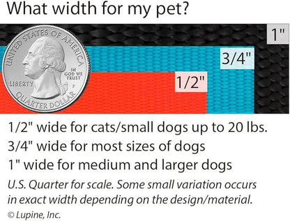 LupinePet Basics 1" Black 16-28" Adjustable Collar for Large Dogs