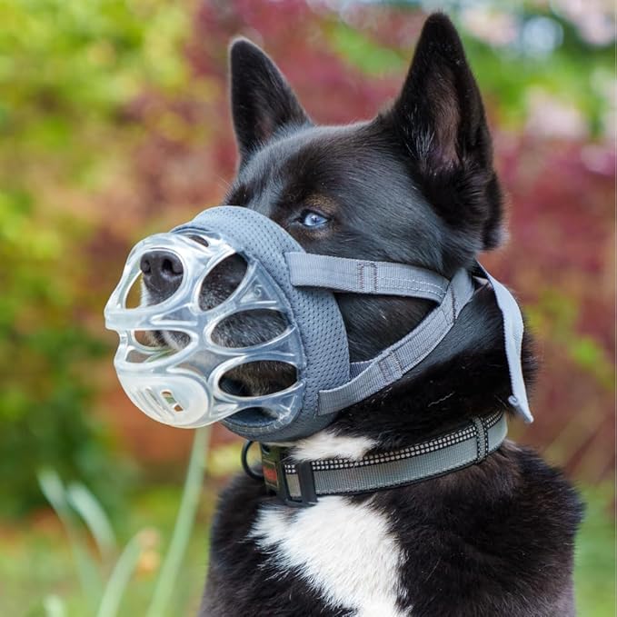 Baskerville INVISA Basket Dog Muzzle - Patented Humane Design with Facial Visibility, Padded Nose Band, Dog can Pant and Drink, Prevents Biting and Scavenging. Muzzle for Large Dogs (Size 5)