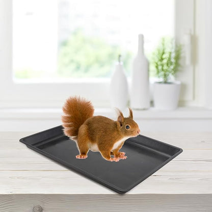 Rabbit Cage Manure Tray Pet Dog Cage Pet Poop Cleaning Tray Plastic for Crates Kennels Dogs Cat Rabbit Ferret Critter