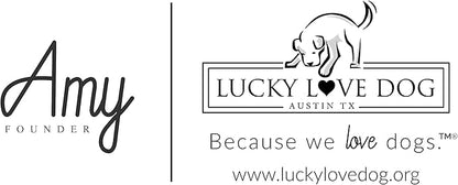 Lucky Love Dog, Whimsical Bird Dog Collar, Vivid Pink, Mint, Blue Flowers X-Small Dog Collar, Adjustable Collars for Female Male Dogs - (XS, Carriebelle Collar)